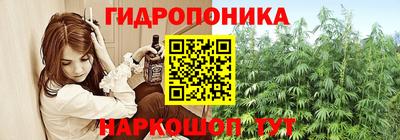 молекула духа Пугачёв