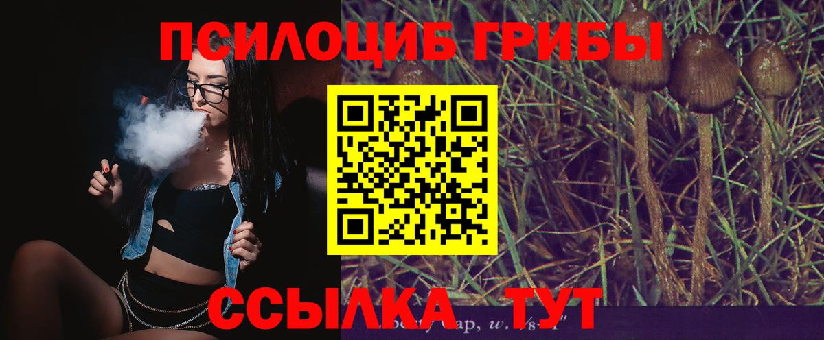 Галлюциногенные грибы Psilocybine cubensis  Псилоцибиновые грибы GOLDEN TEACHER  Вход с VPN  Большой Камень 