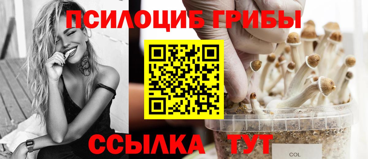 Галлюциногенные грибы GOLDEN TEACHER Большой Камень